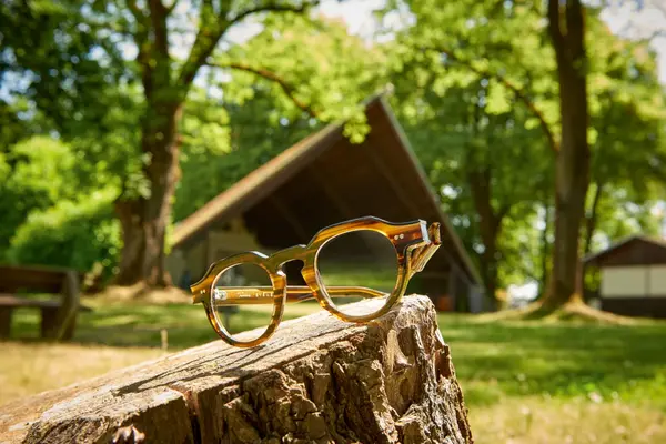 Braune Brille aus Acetat liegt auf Baumstumpf im sonnigen Garten mit Holzhütte im Hintergrund.